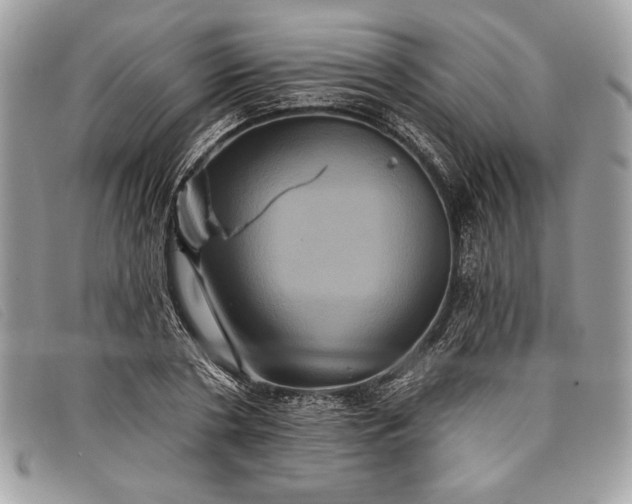 X0000098010786200804111231