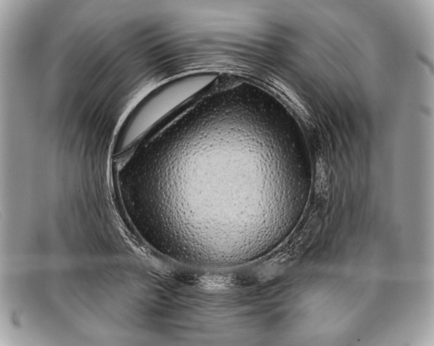 X0000098010788200804111231