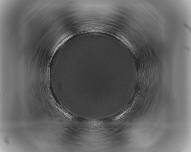 X0000098010790200804111231