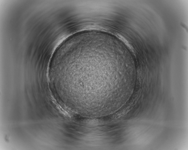 X0000098010791200804111231