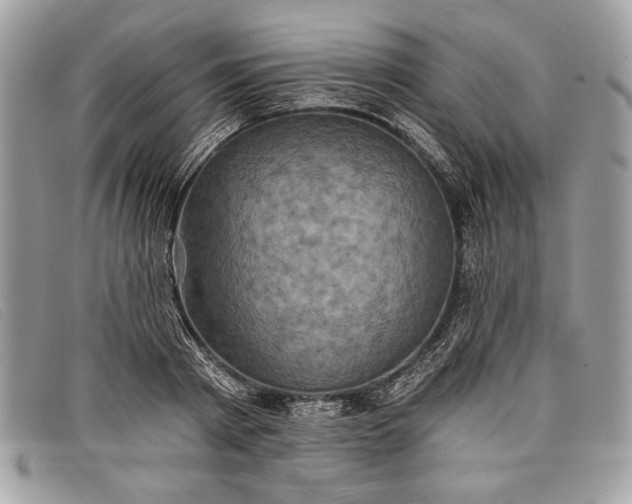 X0000098010793200804111231