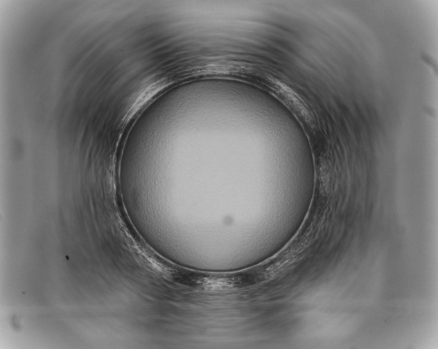 X0000098010794200804111231