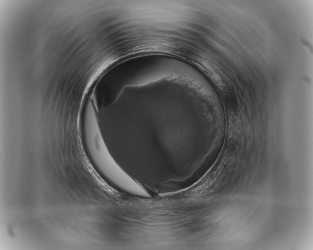 X0000098010796200804111231