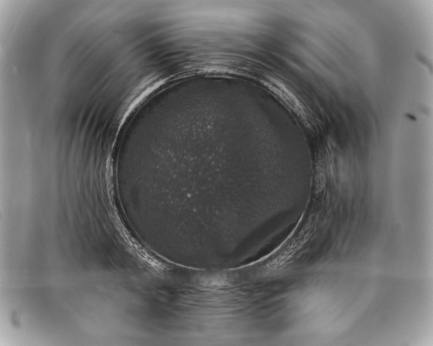 X0000098010798200804111231