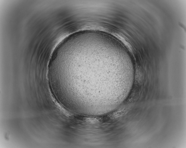 X0000098010799200804111231