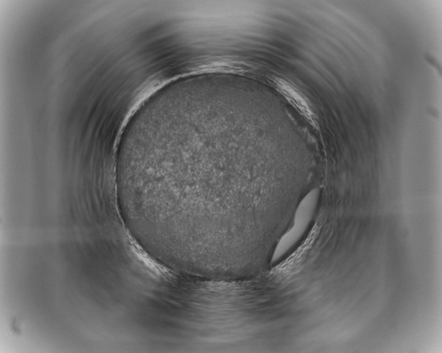 X0000098010800200804111231