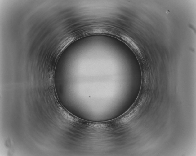 X0000098010801200804111231