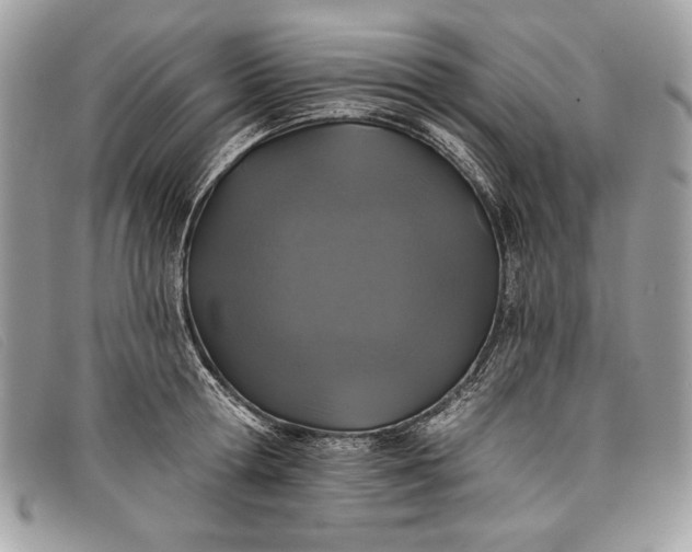 X0000098010802200804111231