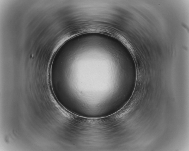 X0000098010803200804111231