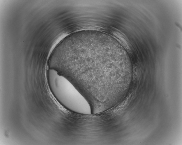 X0000098010804200804111231