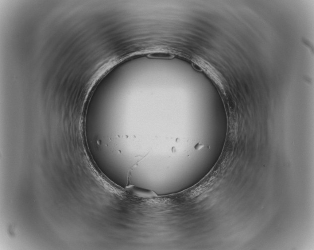 X0000098010805200804111231