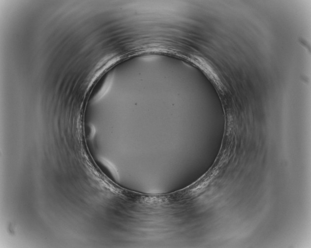 X0000098010806200804111231