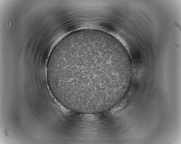 X0000098010807200804111231