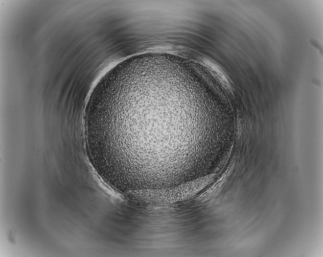 X0000098010808200804111231