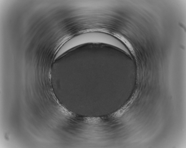 X0000098010809200804111231