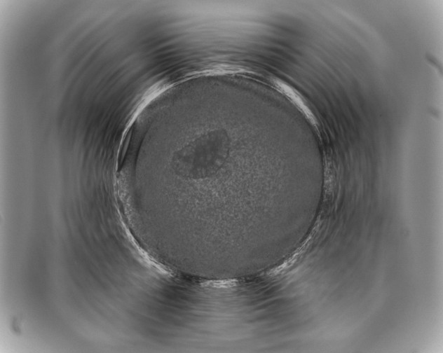 X0000098010810200804111231