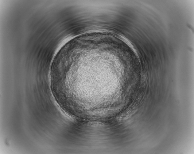 X0000098010811200804111231