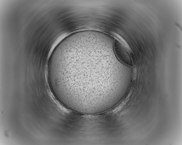 X0000098010812200804111231