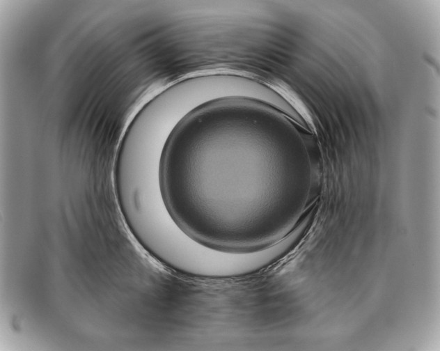 X0000098010813200804111231