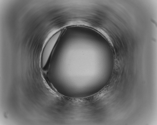 X0000098010815200804111231