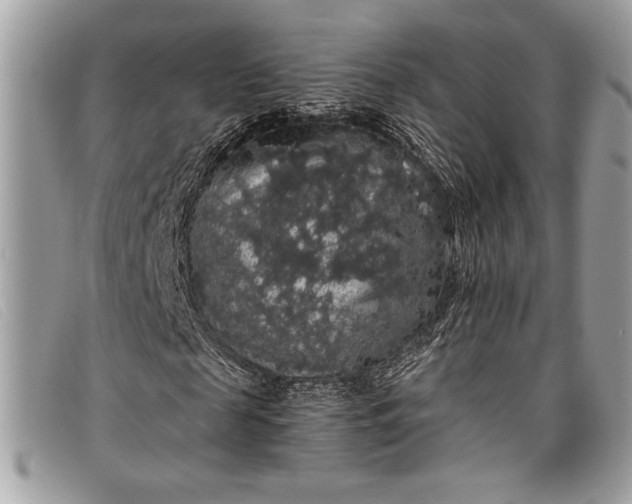 X0000098010817200804111230