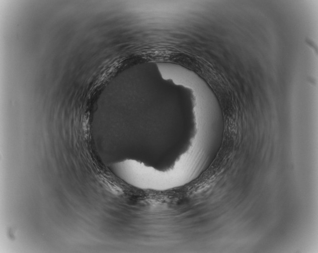 X0000098010818200804111230