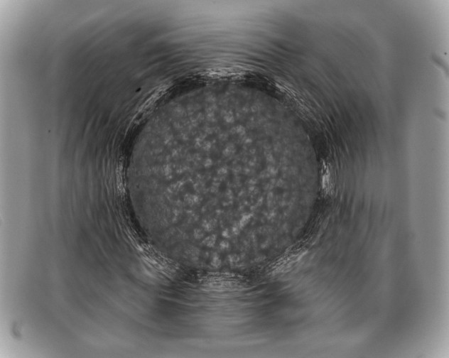 X0000098010819200804111230