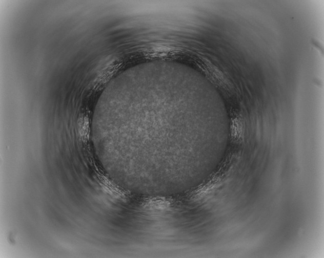 X0000098010820200804111230