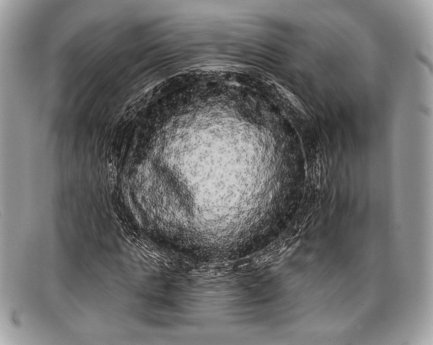 X0000098010821200804111230