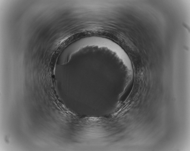 X0000098010822200804111230