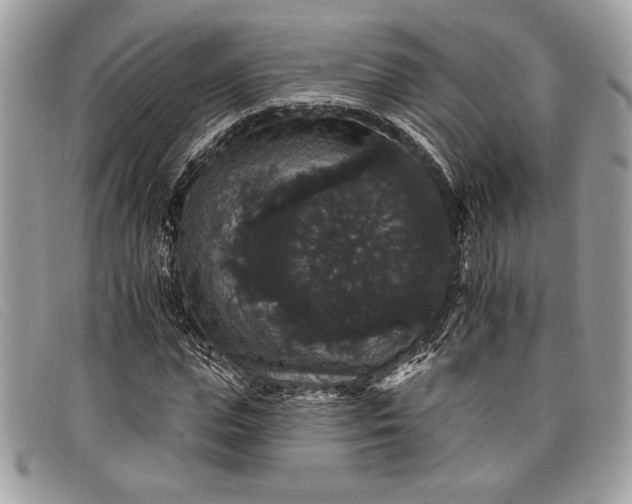 X0000098010823200804111230