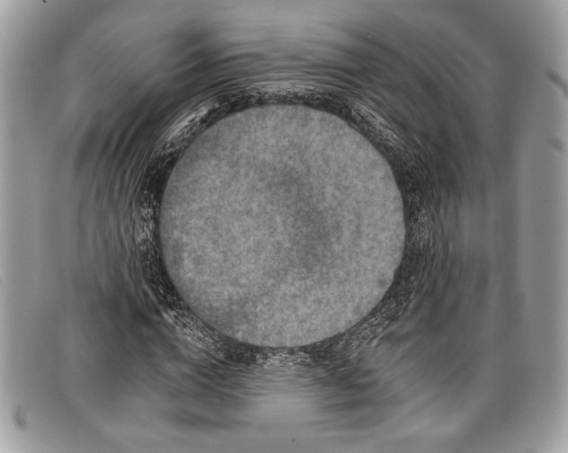 X0000098010824200804111230