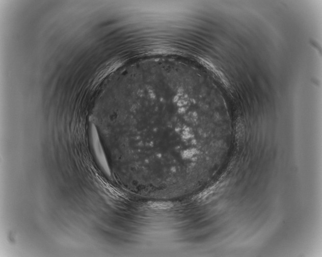 X0000098010825200804111230