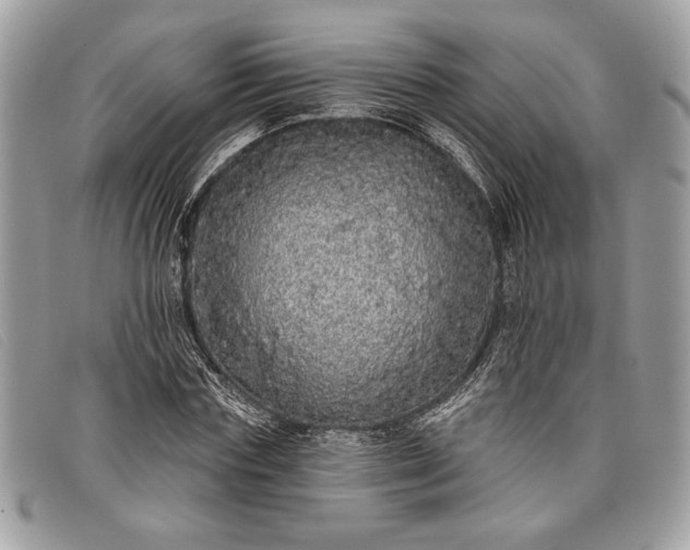 X0000098010827200804111230