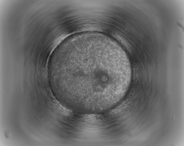 X0000098010828200804111230