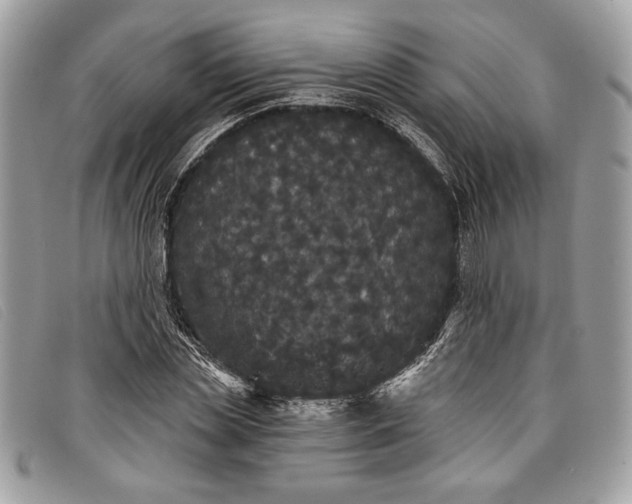 X0000098010829200804111230