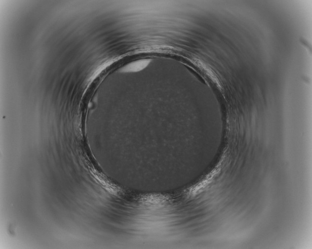 X0000098010830200804111230