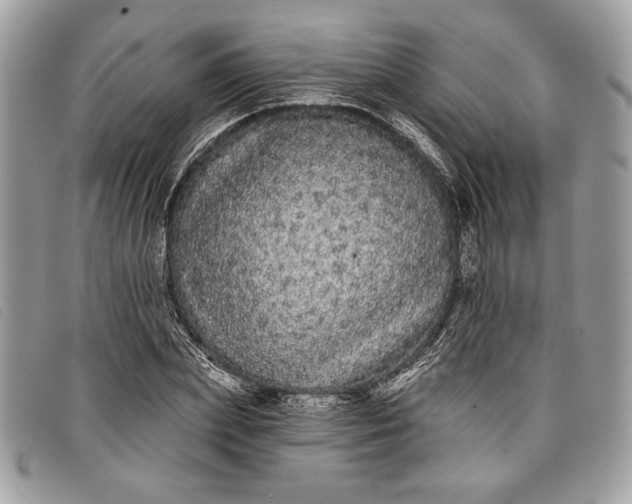 X0000098010831200804111230