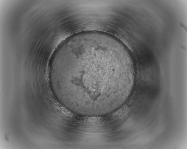 X0000098010832200804111230