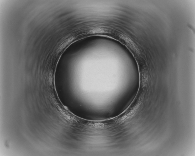 X0000098010833200804111230