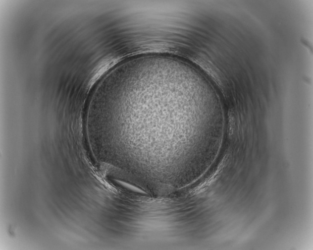 X0000098010834200804111230