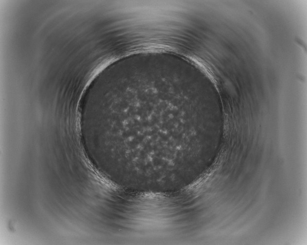 X0000098010835200804111230