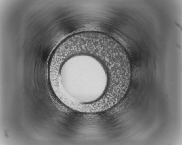 X0000098010836200804111230