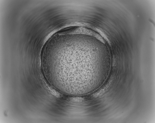 X0000098010837200804111230