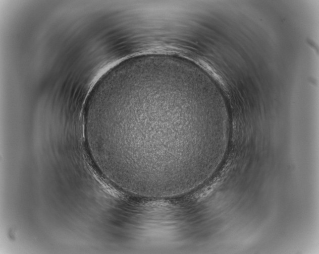 X0000098010838200804111230