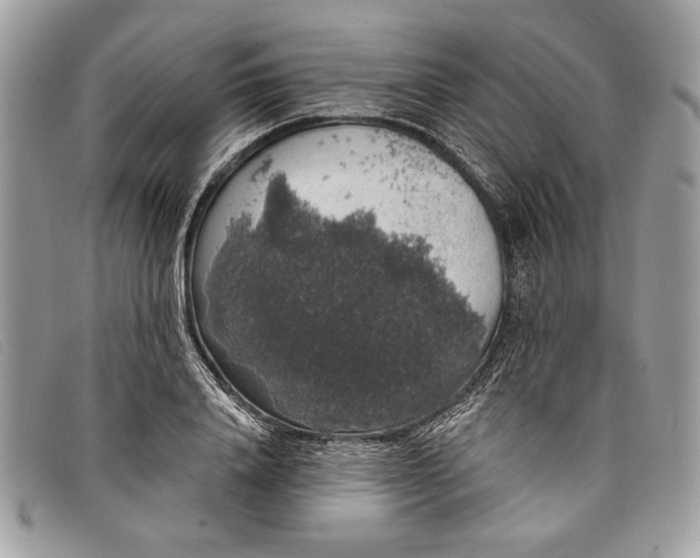 X0000098010840200804111231