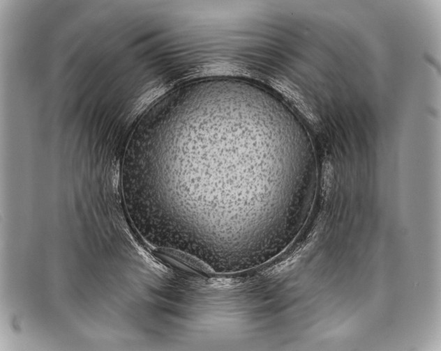 X0000098010841200804111231