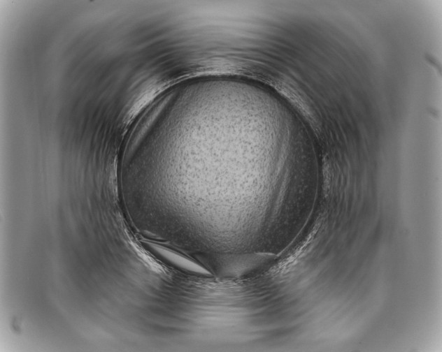 X0000098010842200804111231