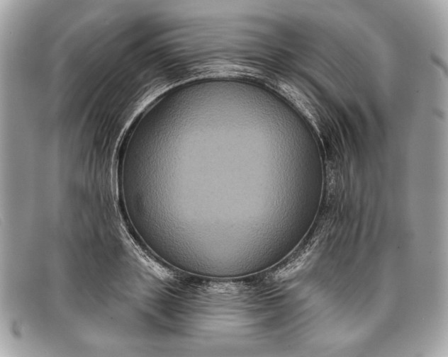 X0000098010843200804111231