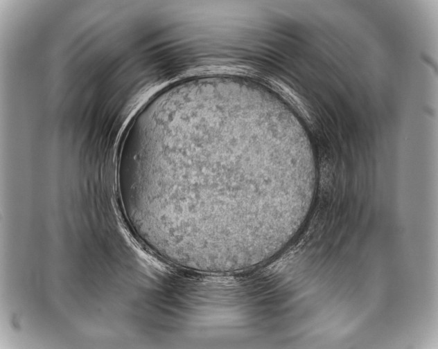 X0000098010844200804111231